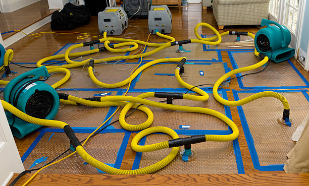 Professional Basement Flood Cleanup technician working in Gambrills, MD